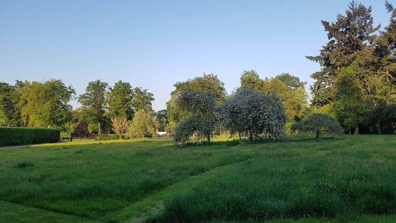 Photo of Others in Newmarket