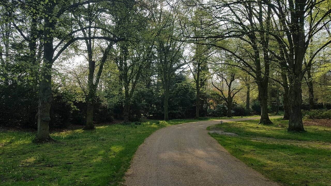 Photo of Others in Newmarket