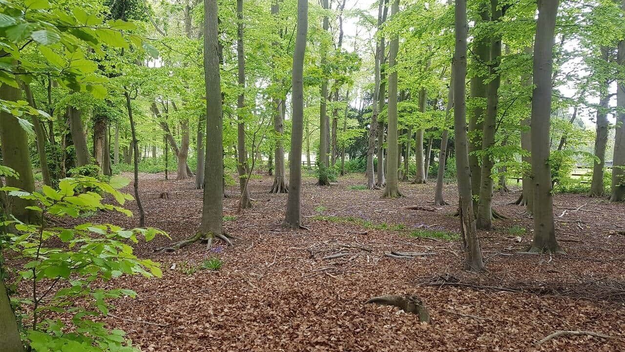 Photo of Others in Newmarket