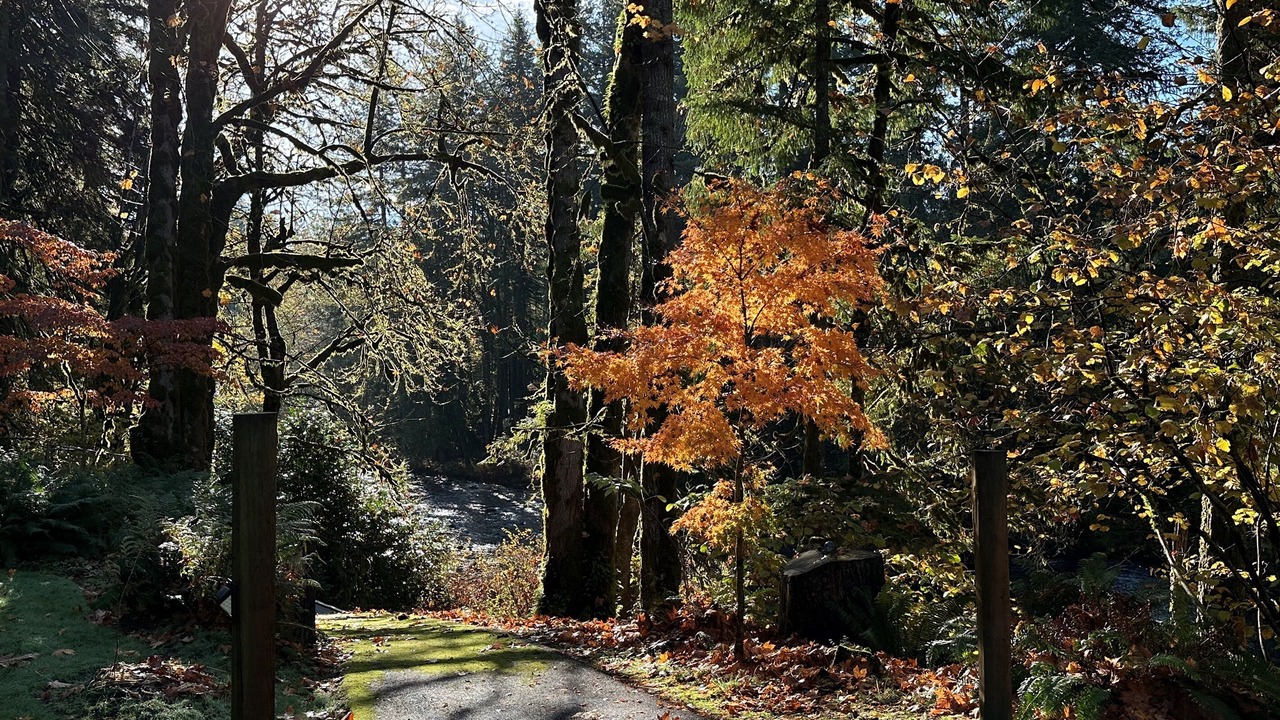 Photo of Others in Brightwood