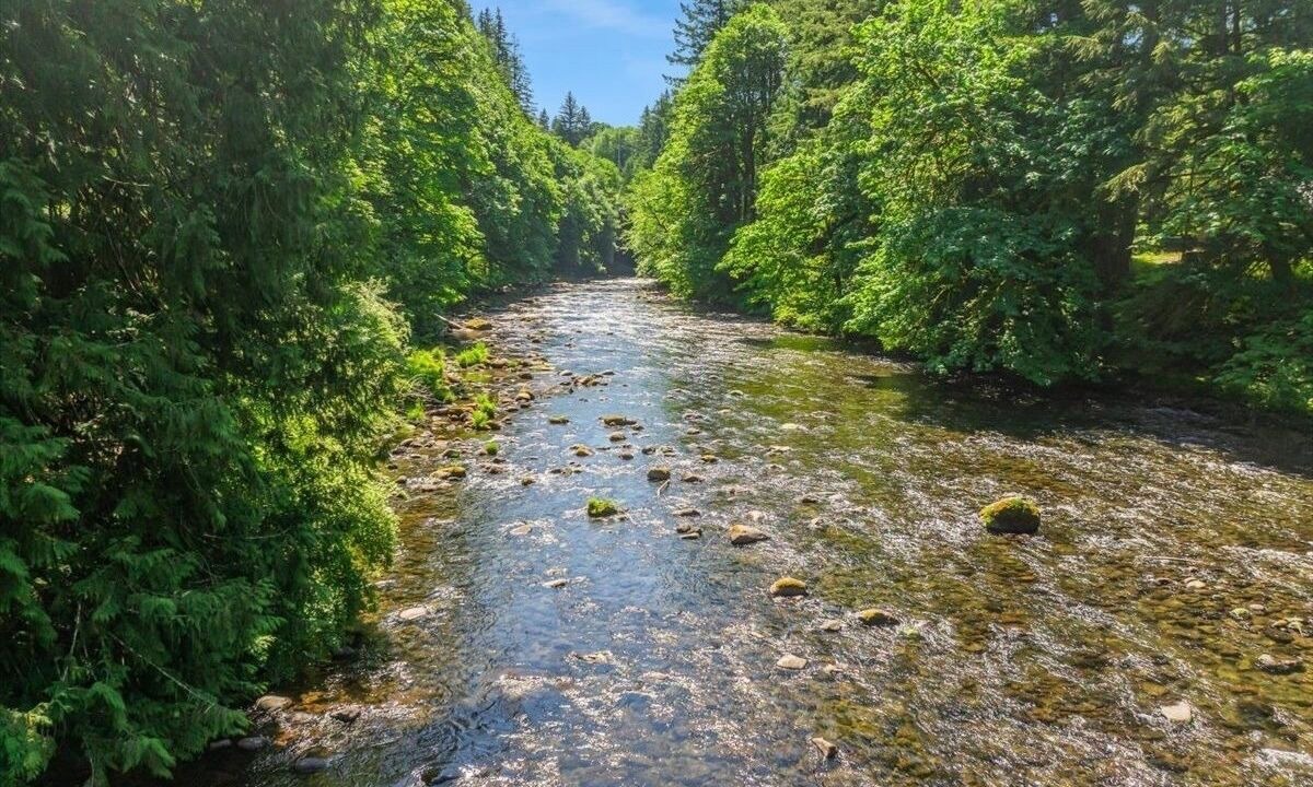 Photo of Others in Brightwood