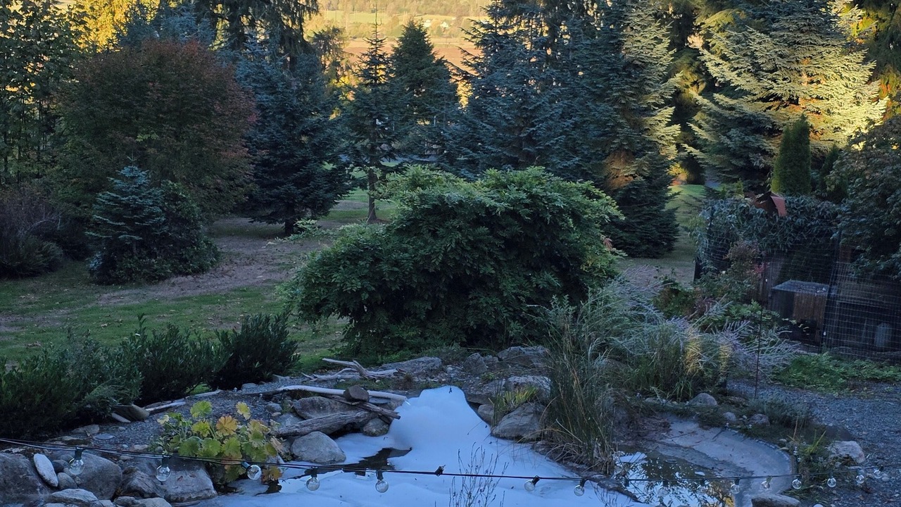 Photo of Outdoor in Seattle Hill-Silver Firs
