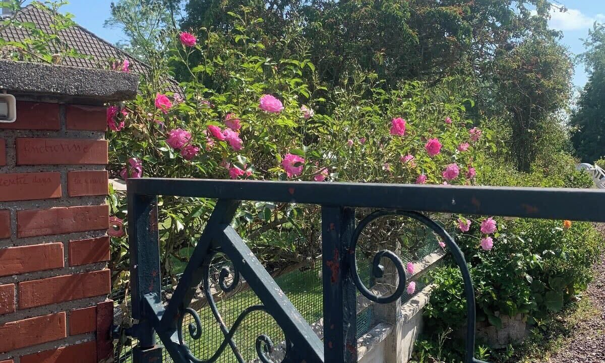 Photo of Outdoor in Noyelles-sur-Mer