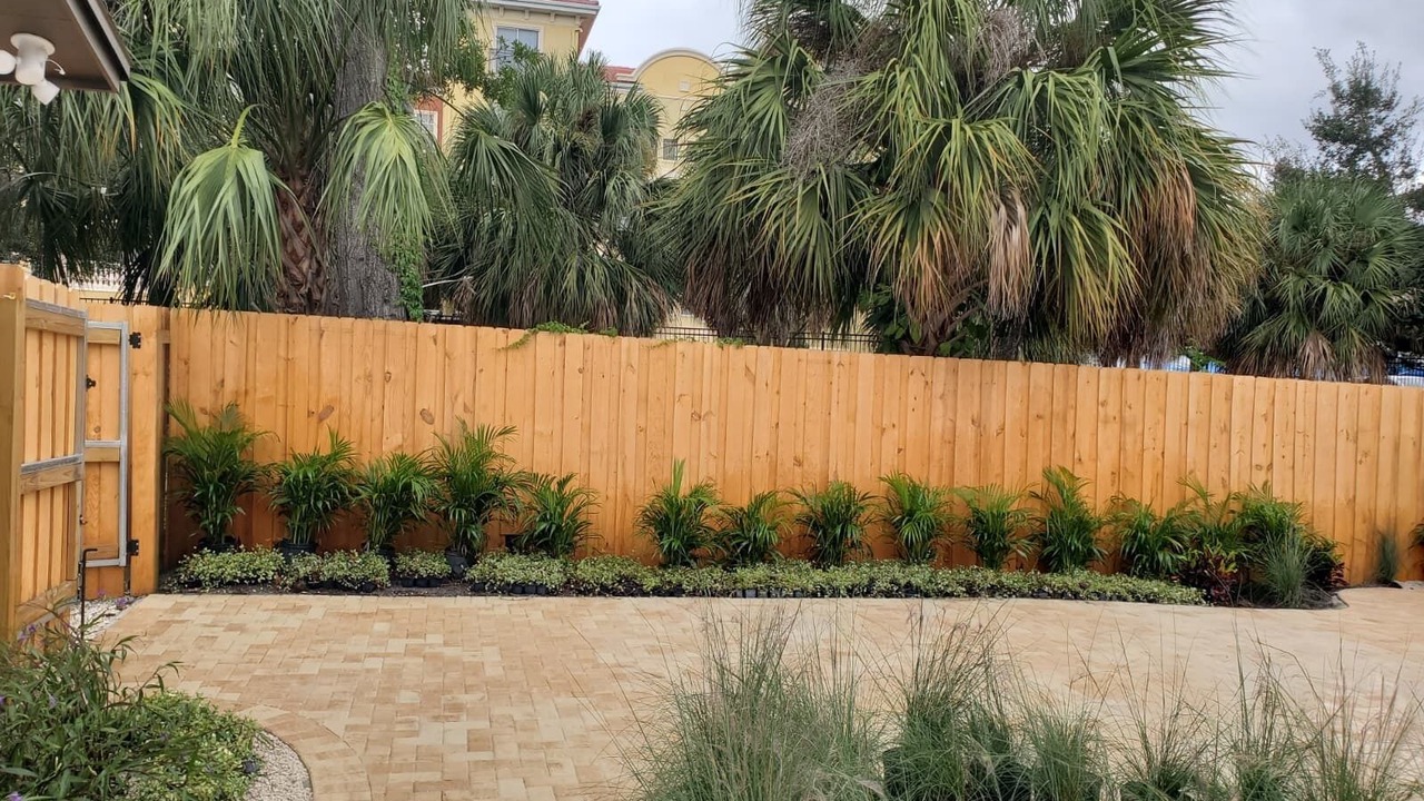 Photo of Others in Port Tampa City