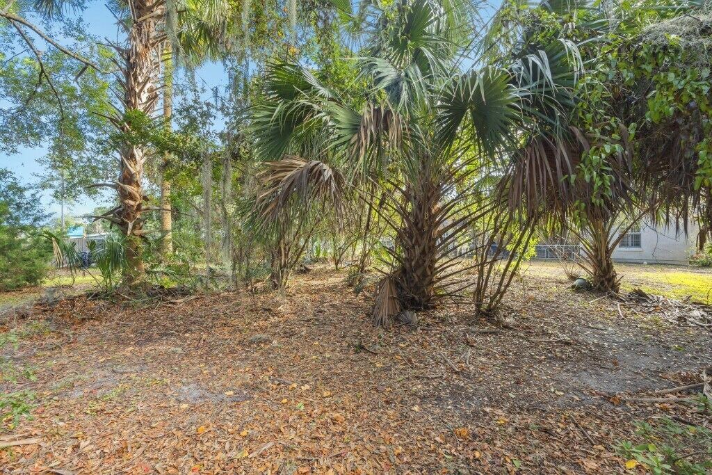 Photo of Outdoor in Green Cove Springs