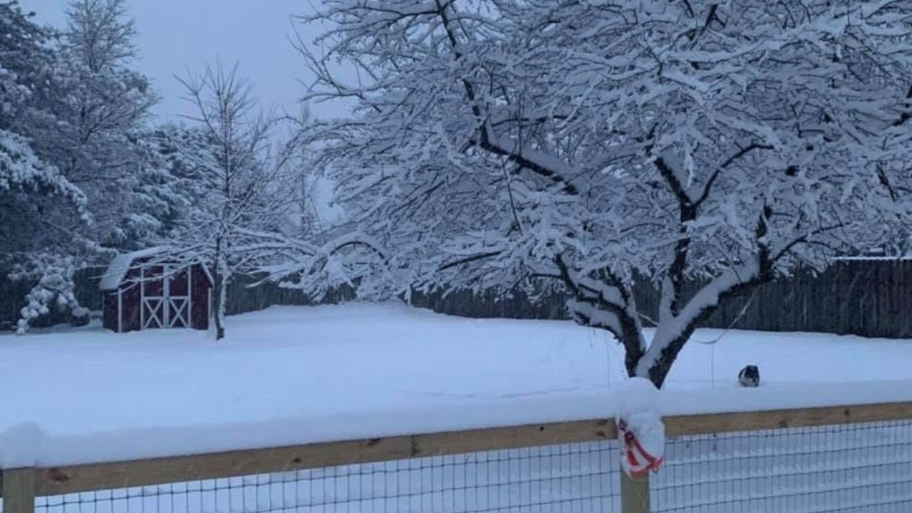 Photo of Outdoor in Owego