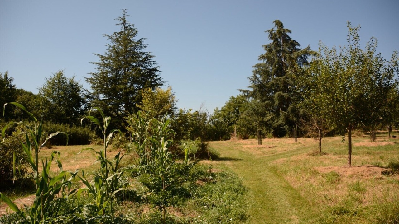 Photo of Others in Marssac-sur-Tarn