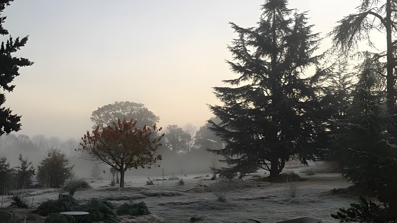 Photo of Outdoor in Marssac-sur-Tarn