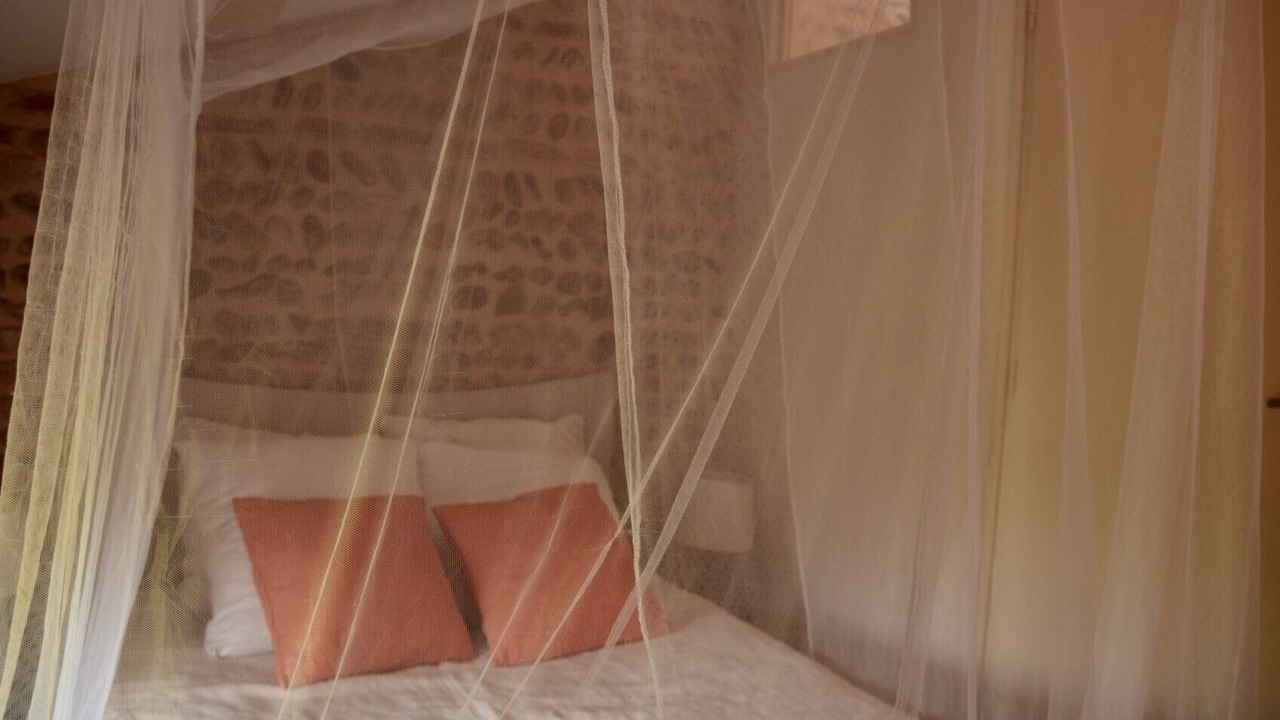 Photo of Bedroom in Marssac-sur-Tarn