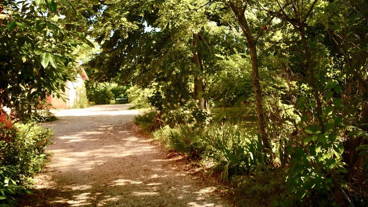 Photo of Outdoor in Marssac-sur-Tarn