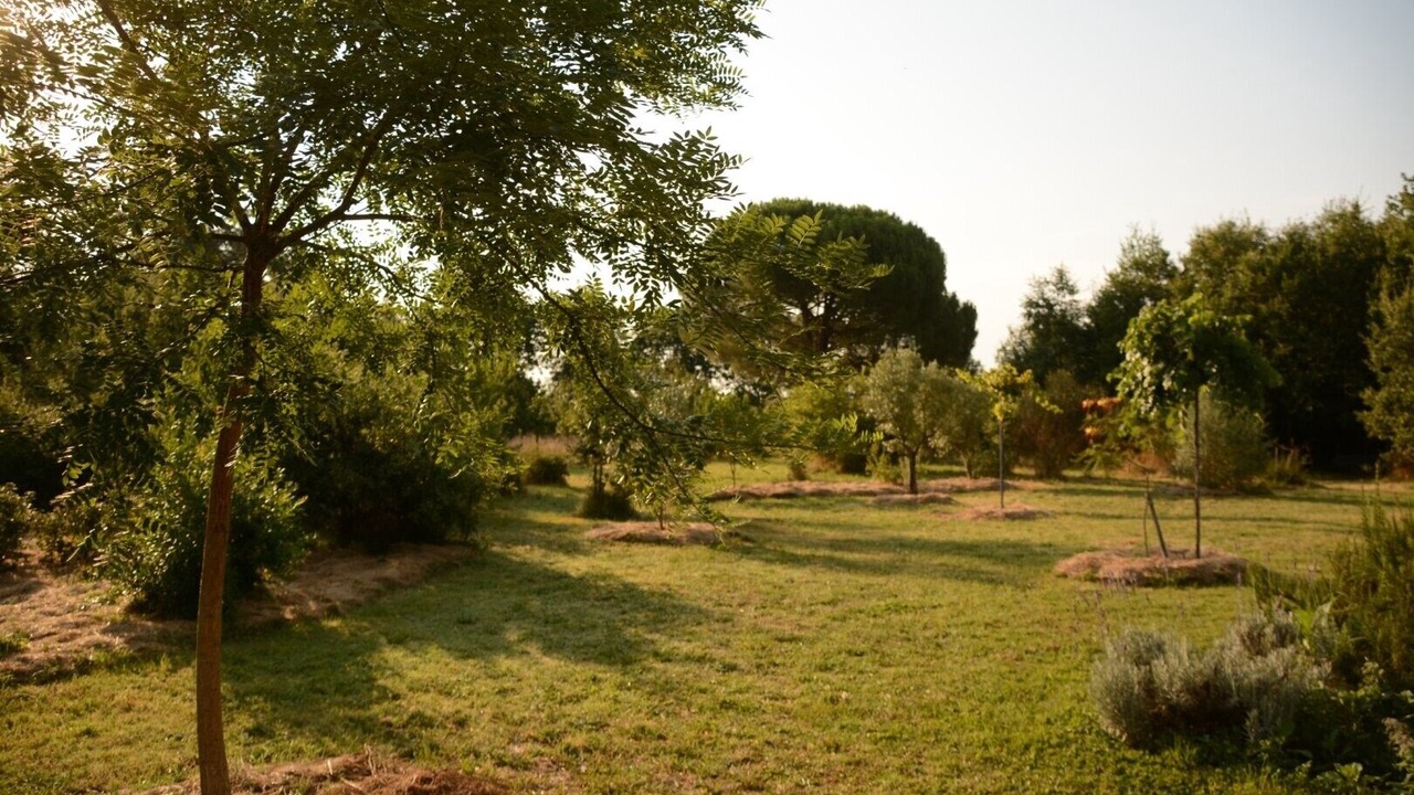 Photo of Outdoor in Marssac-sur-Tarn