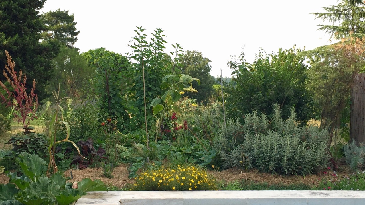 Photo of Outdoor in Marssac-sur-Tarn