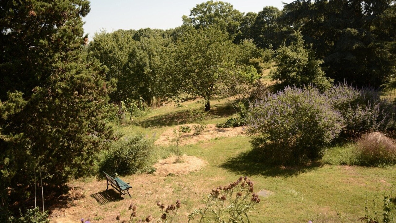 Photo of Outdoor in Marssac-sur-Tarn
