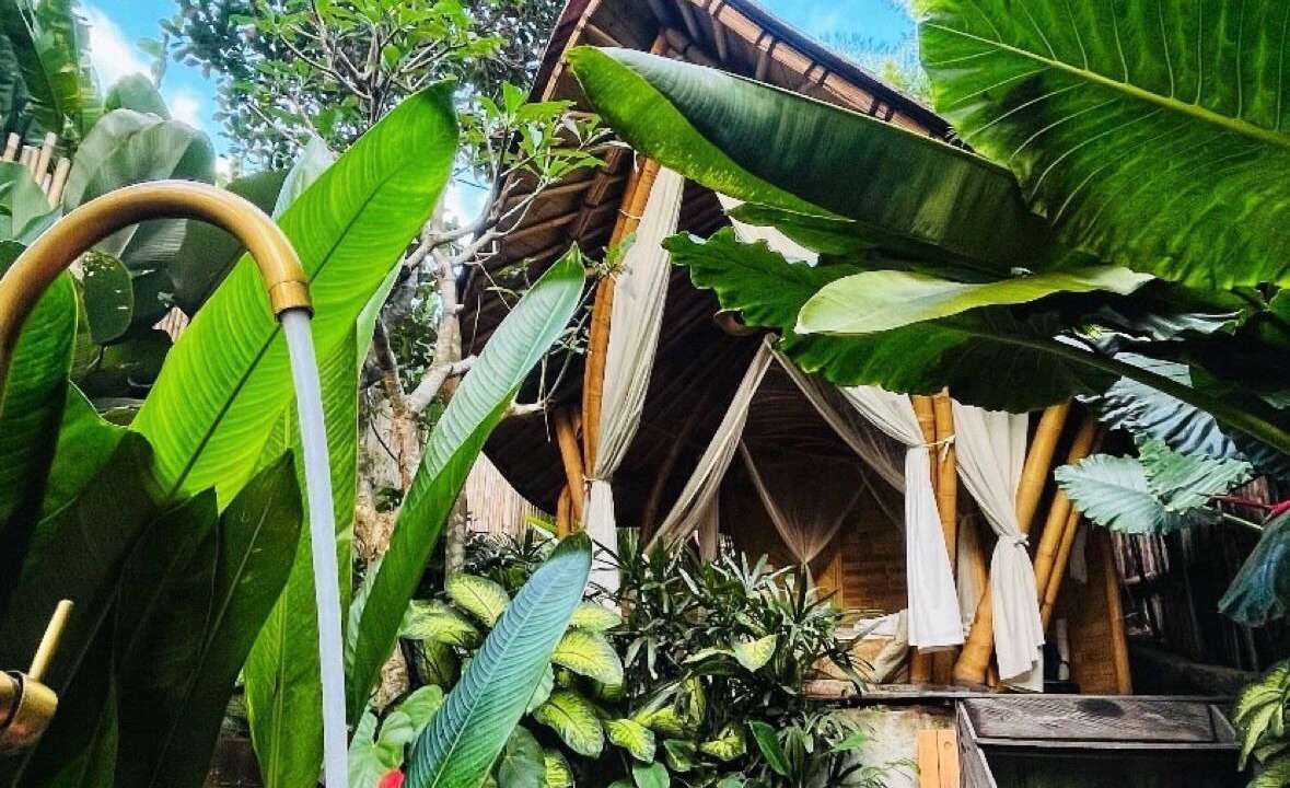 Photo of Outdoor in Singapadu Tengah