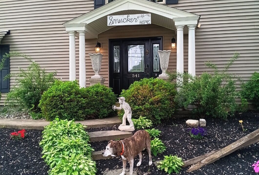 Photo of Outdoor in New Holland