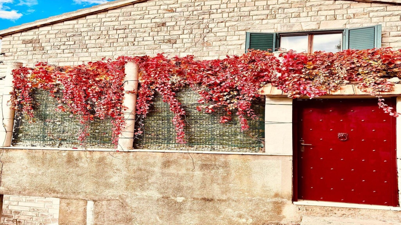 Photo of Outdoor in Gruz
