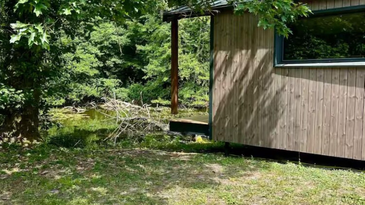 Photo of Outdoor in La Ferte-Saint-Aubin