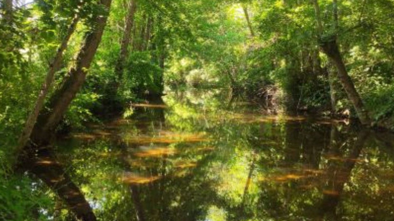 Photo of Others in Belmont-sur-Rance