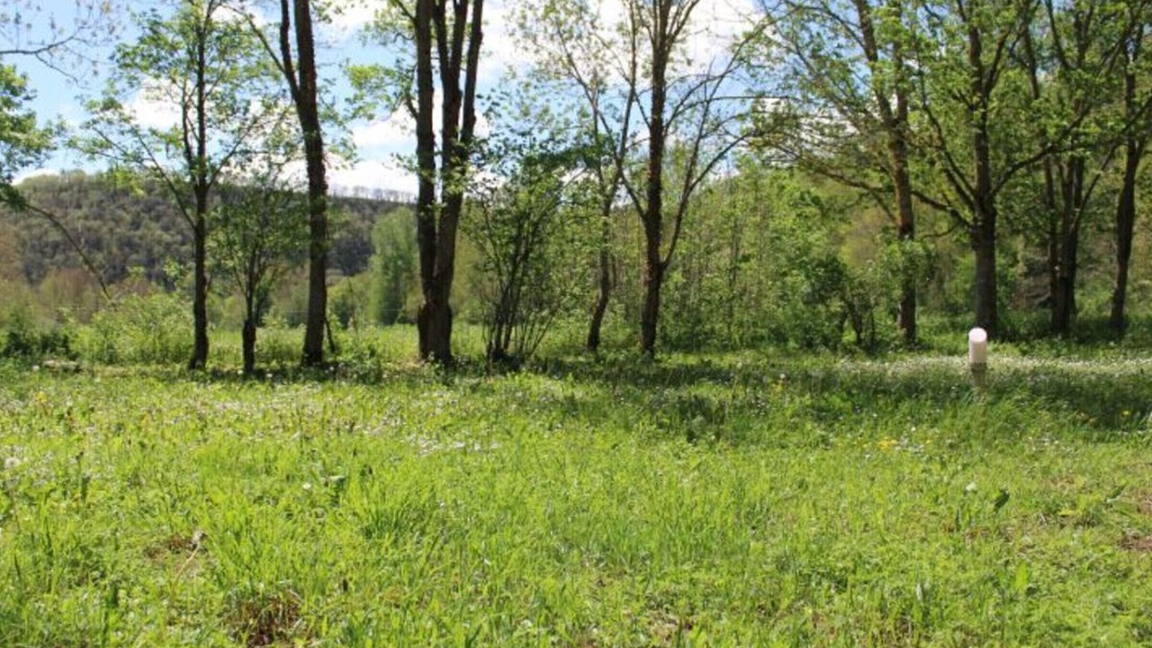 Photo of Others in Belmont-sur-Rance