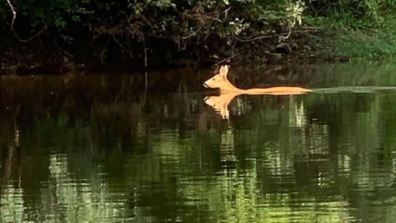 Photo of Others in Marcilly-sur-Vienne
