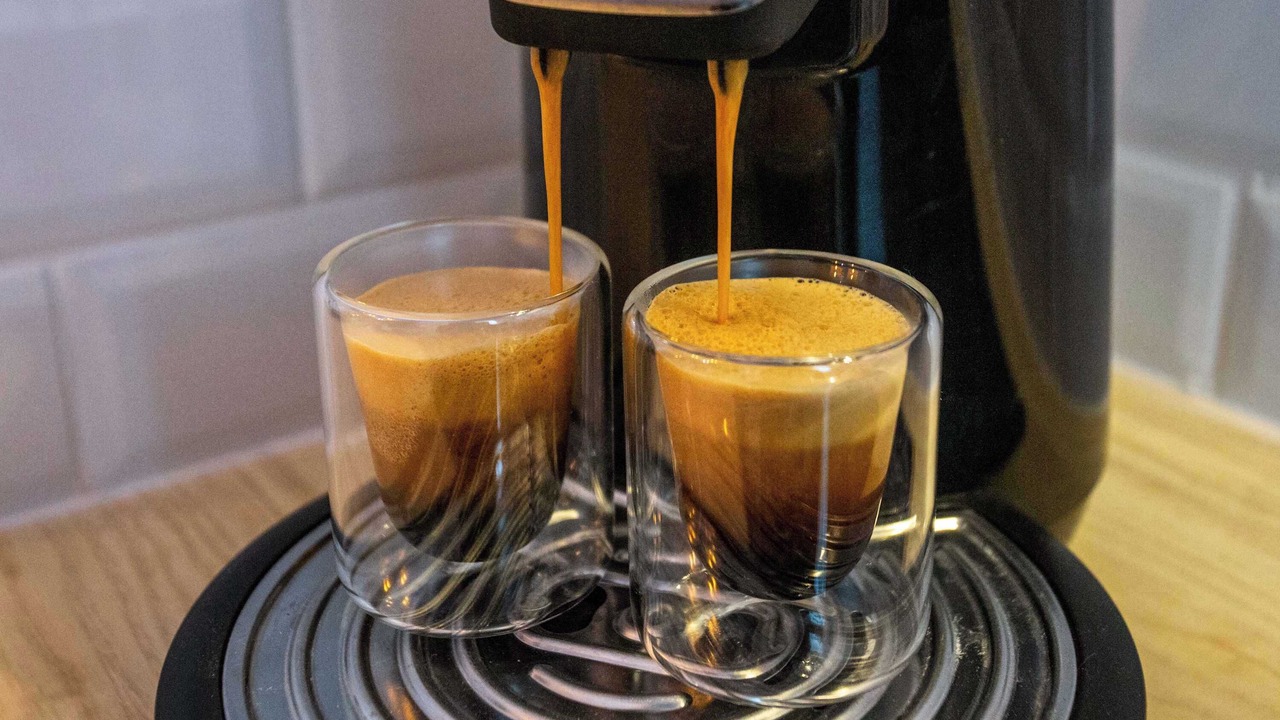 Photo of Others in Saint-Acheul