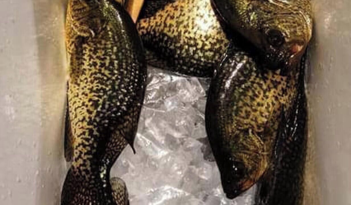 Photo of Others in Rideau Lakes