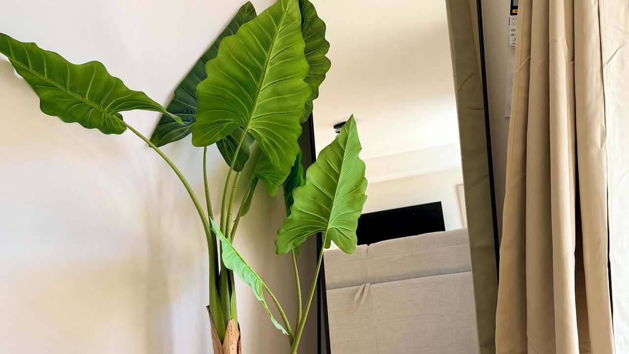 Photo of Others in Tarbes