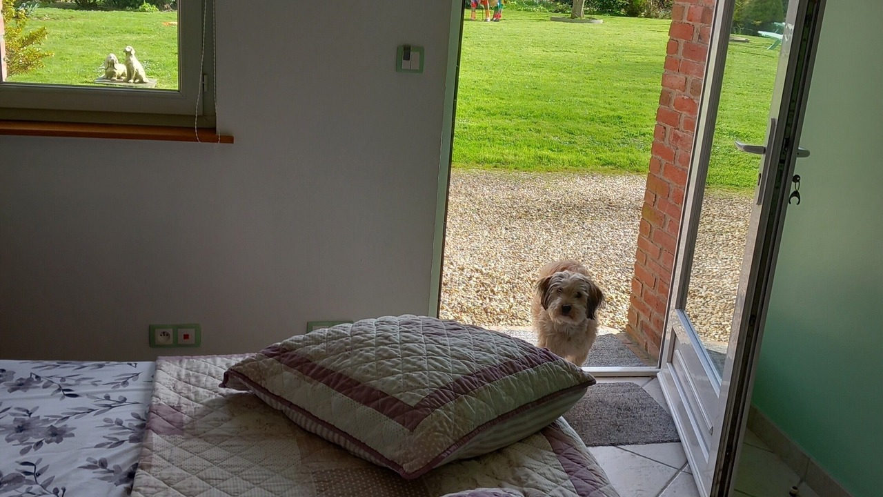 Photo of Bedroom in Saint-Leonard