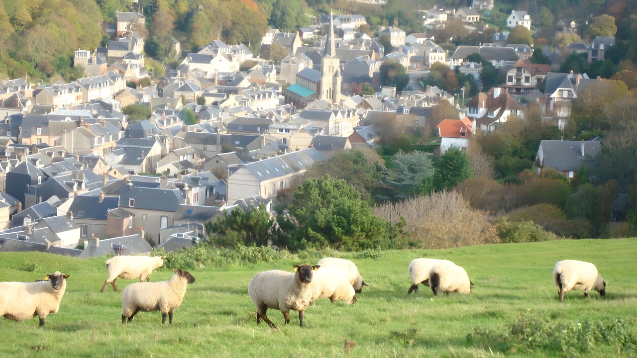 Photo of Others in Saint-Leonard