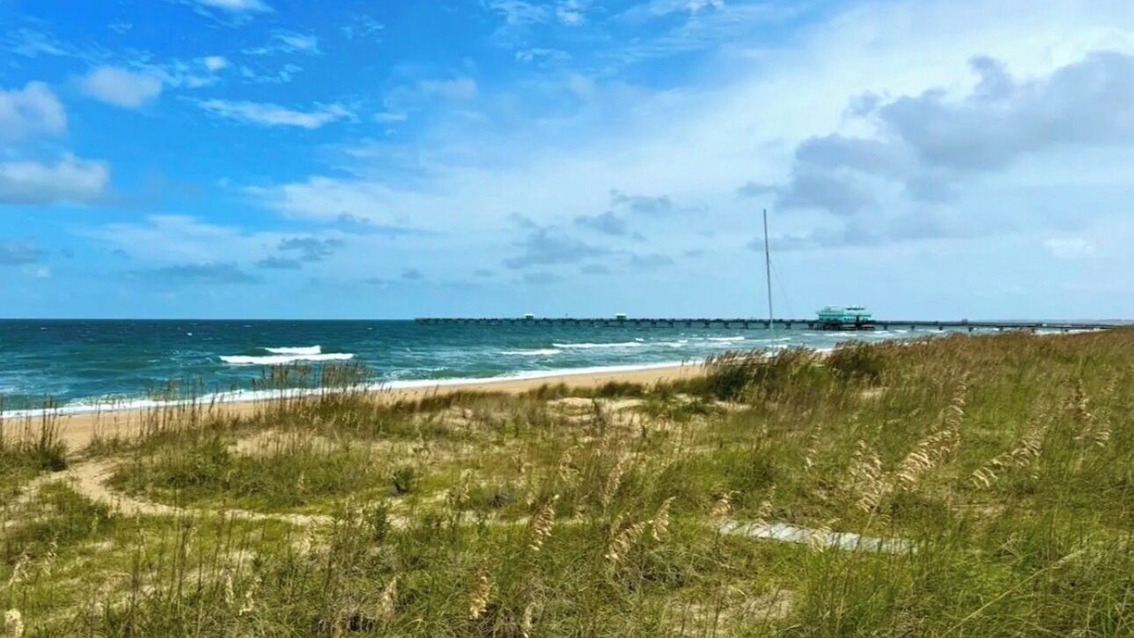 Photo of Others in East Ocean View