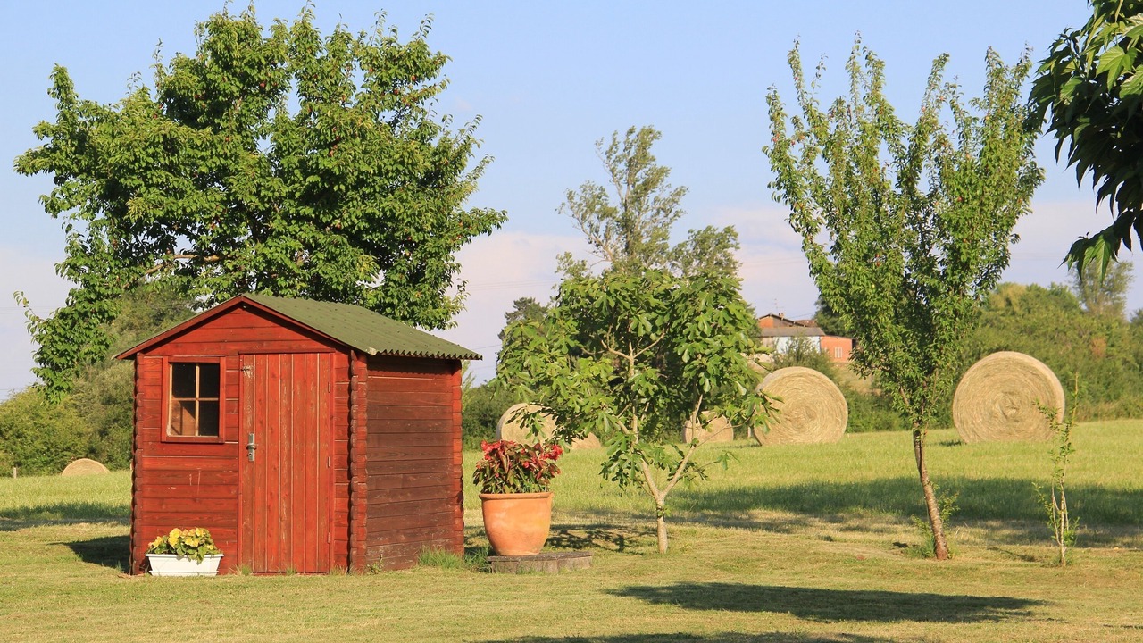 Photo of Outdoor in Montignac-Toupinerie