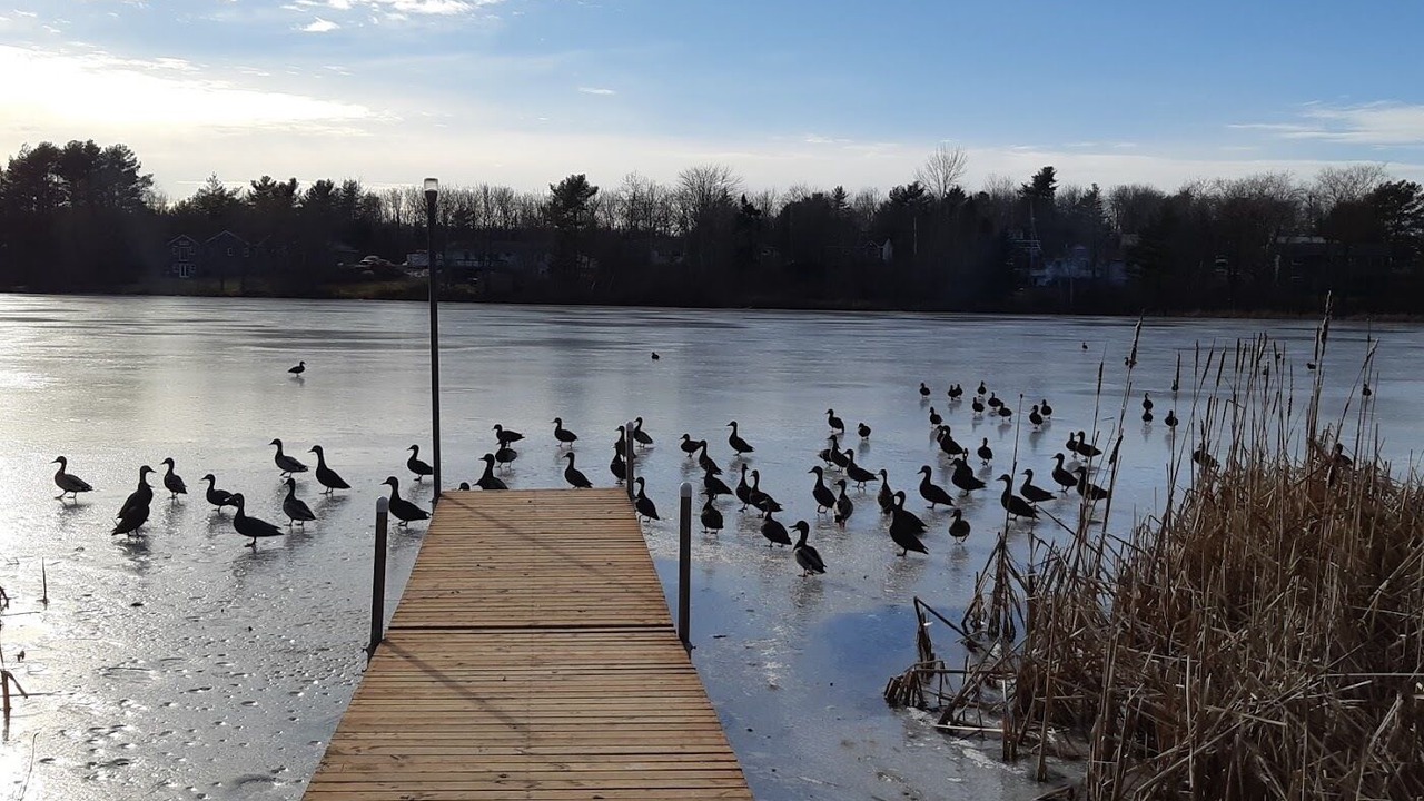 Photo of Others in Beaver Bank
