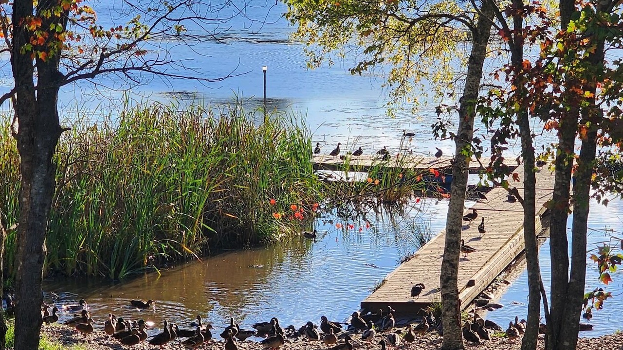 Photo of Others in Beaver Bank