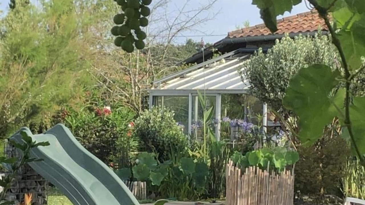 Photo of Outdoor in Mimbaste