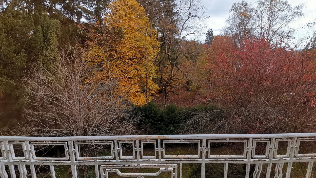 Photo of Outdoor in Ville