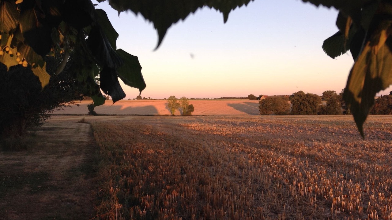 Photo of Others in Le-Petit-Pressigny