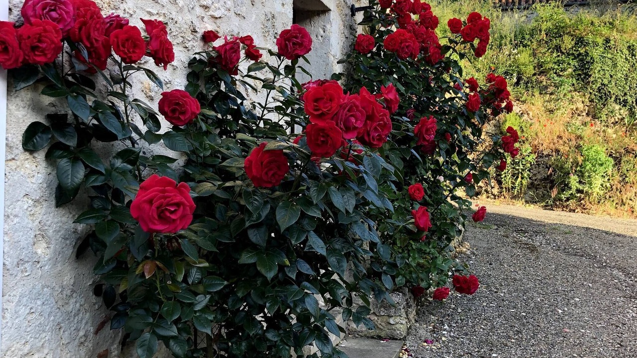Photo of Outdoor in Saint-Nazaire-de-Valentane