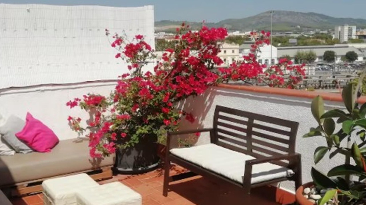 Photo of Patio Balcony in Vilanova I la Geltru