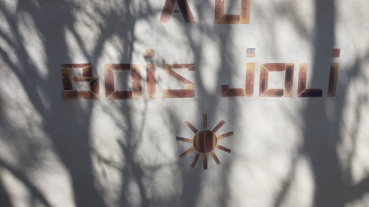 Photo of Outdoor in Bussac-Foret