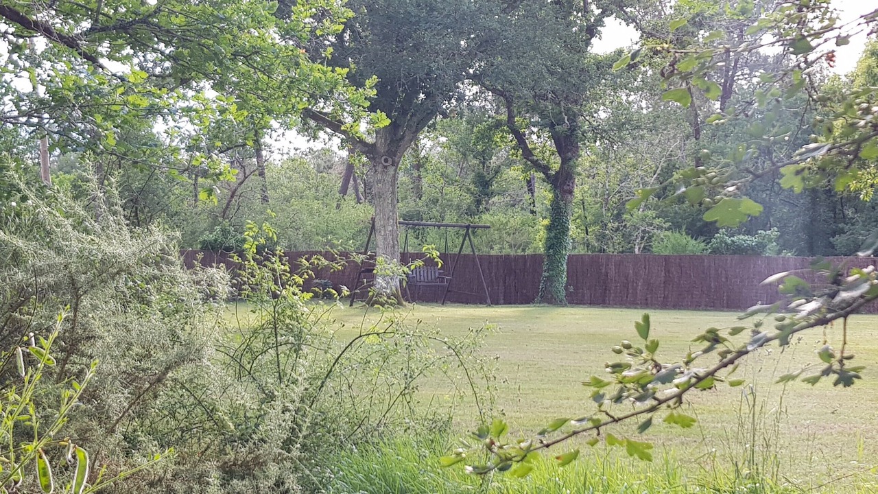 Photo of Outdoor in Bussac-Foret