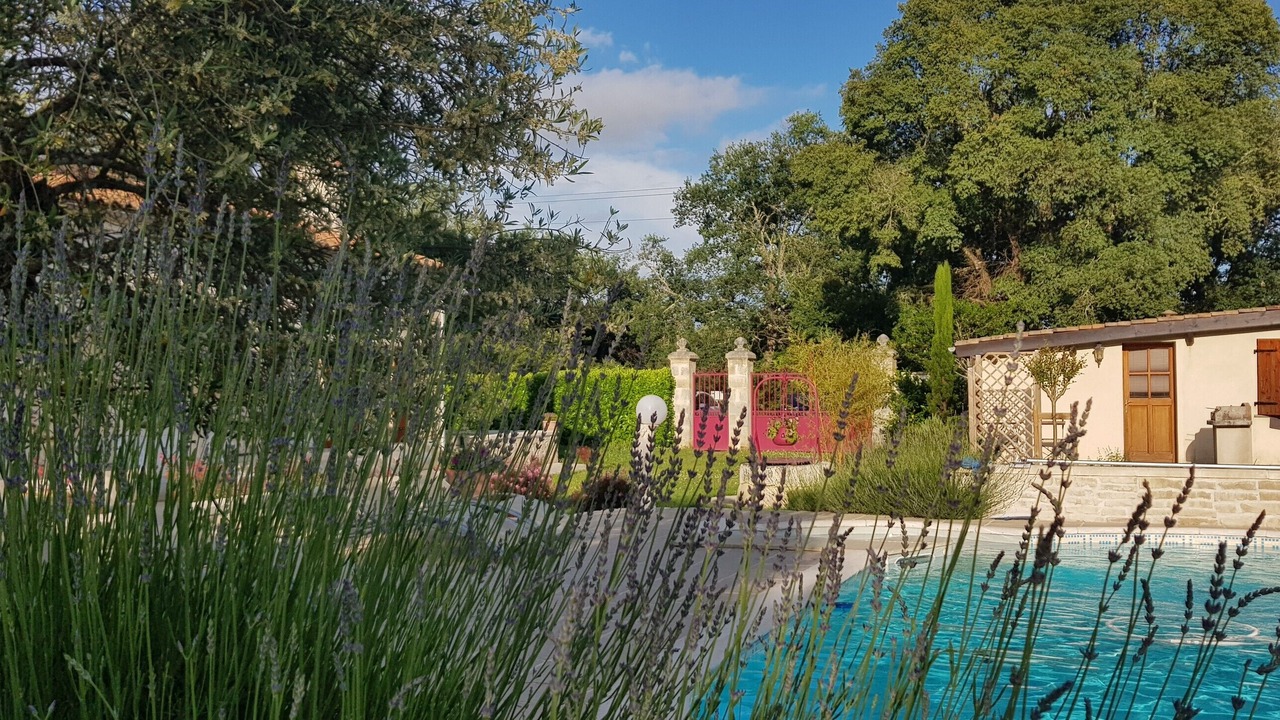 Photo of Outdoor in Bussac-Foret