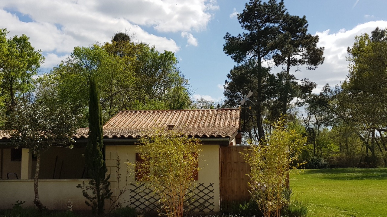 Photo of Outdoor in Bussac-Foret