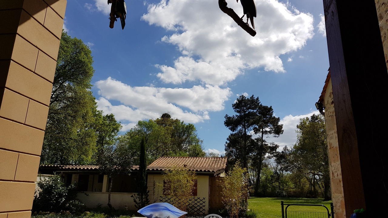 Photo of Outdoor in Bussac-Foret