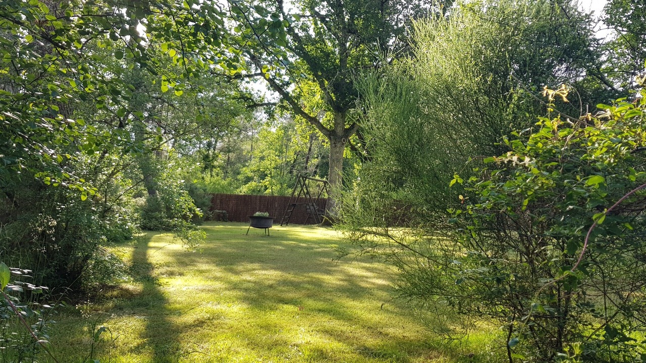 Photo of Outdoor in Bussac-Foret