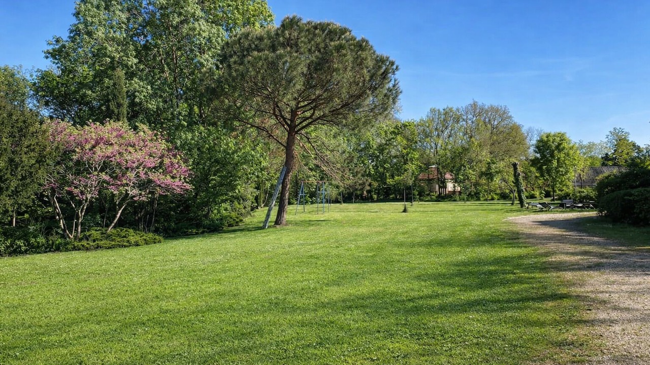 Photo of Outdoor in Orgueil