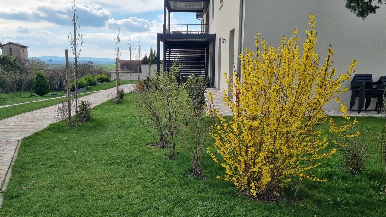 Photo of Outdoor in Vulmont