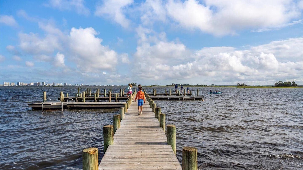 Photo of Others in Bayside