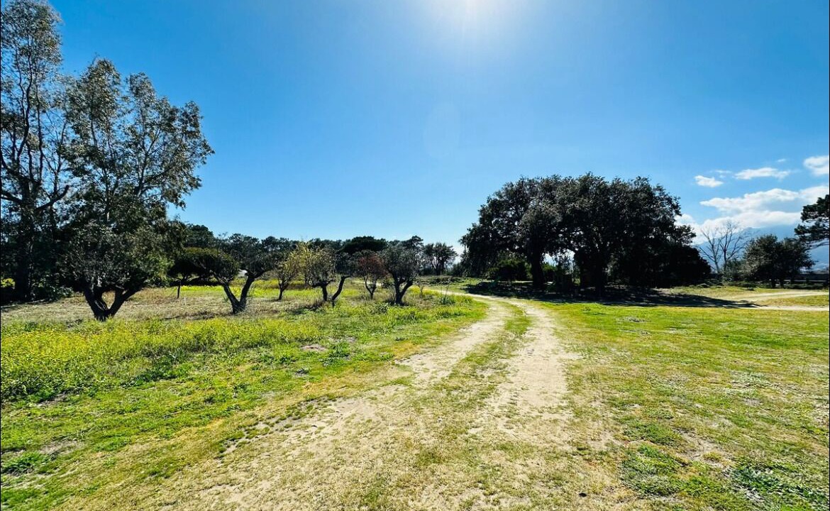 Photo of Others in Biguglia