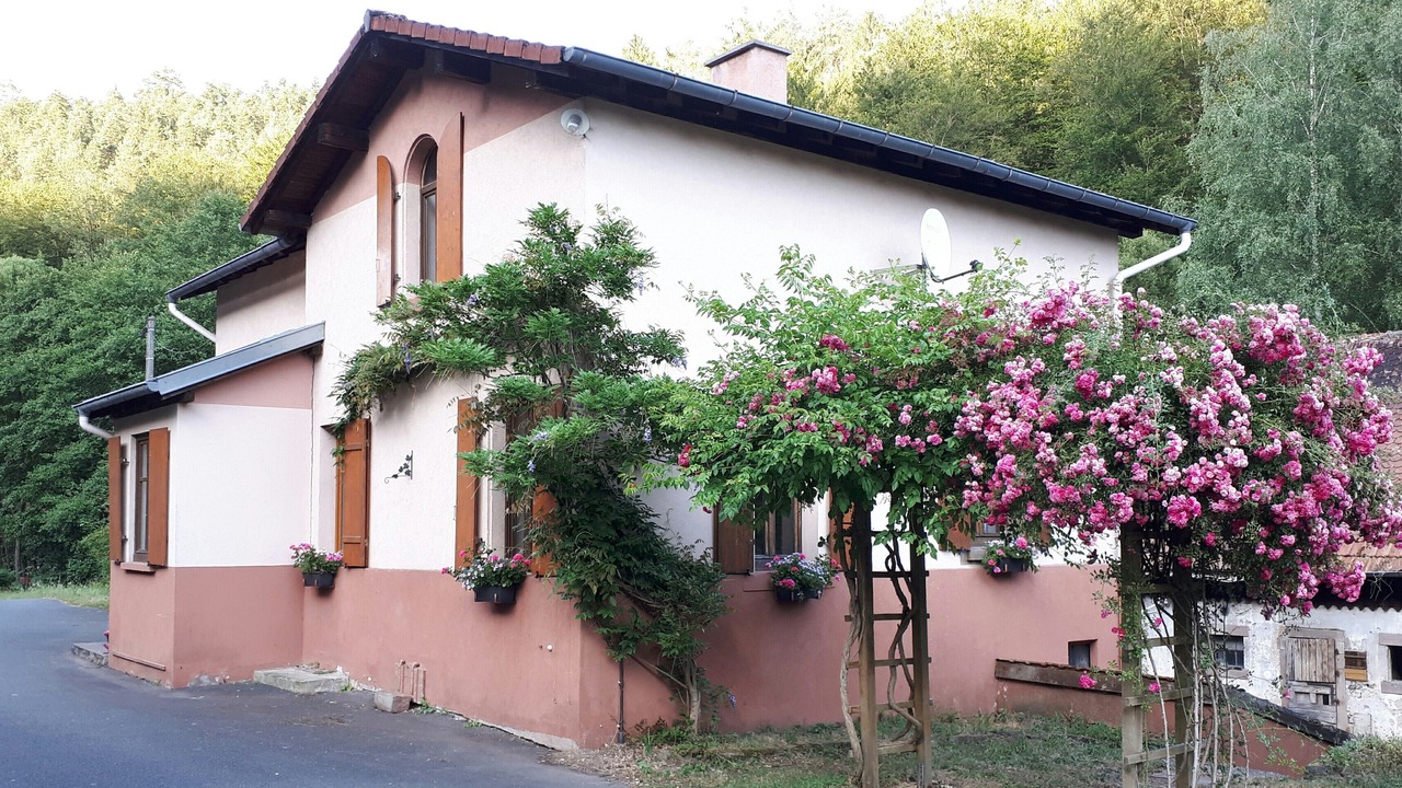 Photo of Outdoor in Henridorff