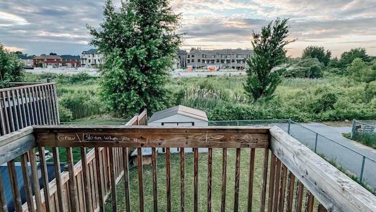 Photo of Outdoor in Alcona